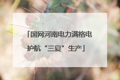 国网河南电力满格电护航“三夏”生产