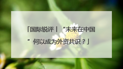 国际锐评丨“未来在中国”何以成为外资共识？