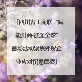 四川省工商联“赋能川商·链通全球”首场活动聚焦外贸企业应对贸易摩擦