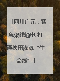 四川广元：紧急架线通电 打通秧田灌溉“生命线”