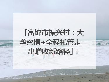 富锦市振兴村：大垄密植+全程托管走出增收新路径