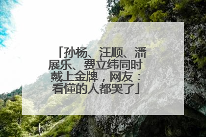 孙杨、汪顺、潘展乐、费立纬同时戴上金牌，网友：看懂的人都哭了