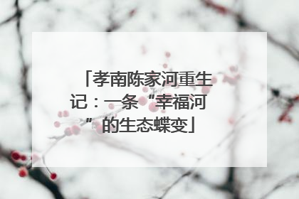 孝南陈家河重生记：一条“幸福河”的生态蝶变
