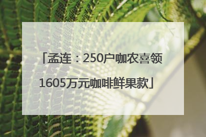 孟连：250户咖农喜领1605万元咖啡鲜果款