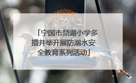 宁国市鼎湖小学多措并举开展防溺水安全教育系列活动