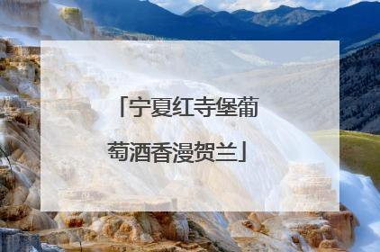 宁夏红寺堡葡萄酒香漫贺兰