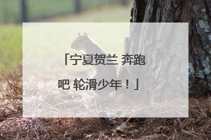 宁夏贺兰 奔跑吧 轮滑少年！