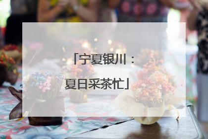 宁夏银川：夏日采茶忙