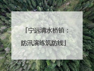 宁远清水桥镇：防汛演练筑防线