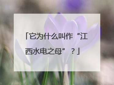 它为什么叫作“江西水电之母”？