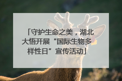 守护生命之美，湖北大悟开展“国际生物多样性日”宣传活动