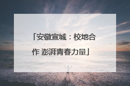 安徽宣城：校地合作 澎湃青春力量