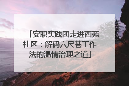 安职实践团走进西苑社区：解码六尺巷工作法的温情治理之道