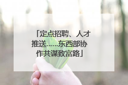 定点招聘、人才推送……东西部协作共谋致富路