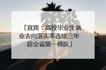 宜宾：高校毕业生就业去向落实率连续三年居全省第一梯队