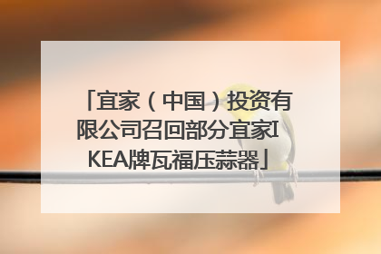 宜家（中国）投资有限公司召回部分宜家IKEA牌瓦福压蒜器