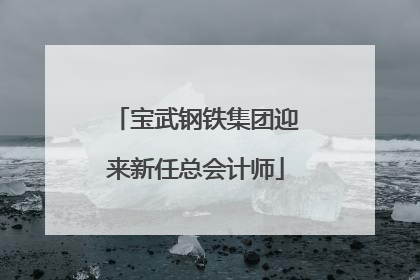 宝武钢铁集团迎来新任总会计师