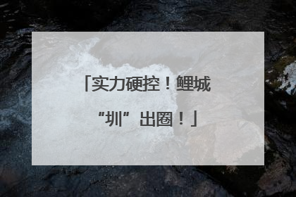 实力硬控！鲤城“圳”出圈！