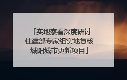 实地察看深度研讨 住建部专家组实地复核城阳城市更新项目