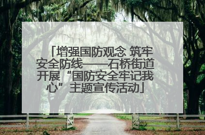增强国防观念 筑牢安全防线——石桥街道开展“国防安全牢记我心”主题宣传活动