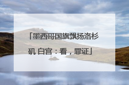 墨西哥国旗飘扬洛杉矶 白宫：看，罪证