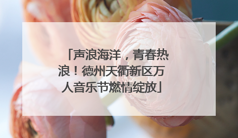 声浪海洋，青春热浪！德州天衢新区万人音乐节燃情绽放