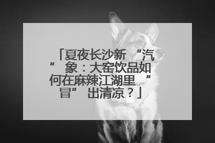 夏夜长沙新 “汽” 象：大窑饮品如何在麻辣江湖里 “冒” 出清凉？