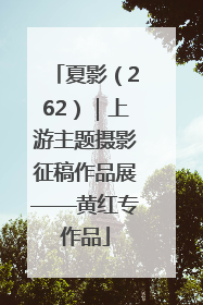 夏影（262）｜上游主题摄影征稿作品展——黄红专作品