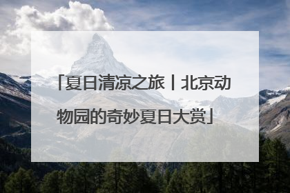 夏日清凉之旅丨北京动物园的奇妙夏日大赏