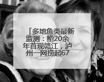 多地鱼类最新监测：鳤20余年首现赣江，泸州一网捞起67条长江鲟