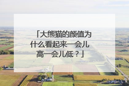 大熊猫的颜值为什么看起来一会儿高一会儿低？
