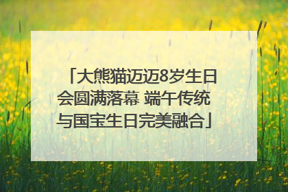 大熊猫迈迈8岁生日会圆满落幕 端午传统与国宝生日完美融合