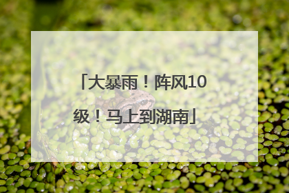 大暴雨！阵风10级！马上到湖南