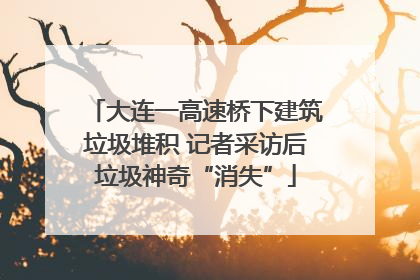 大连一高速桥下建筑垃圾堆积 记者采访后垃圾神奇“消失”