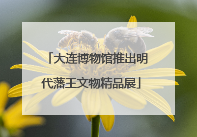 大连博物馆推出明代藩王文物精品展