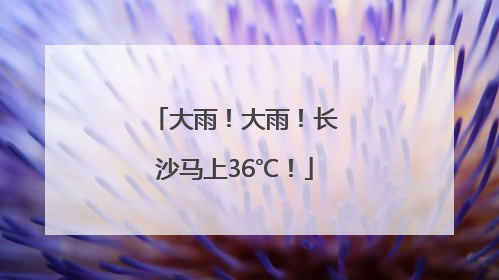 大雨！大雨！长沙马上36℃！