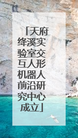 天府绛溪实验室交互人形机器人前沿研究中心成立