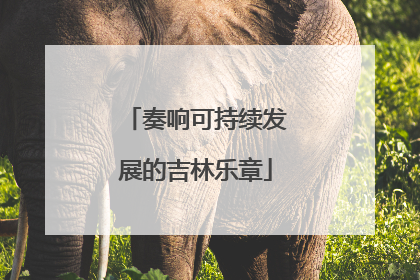 奏响可持续发展的吉林乐章