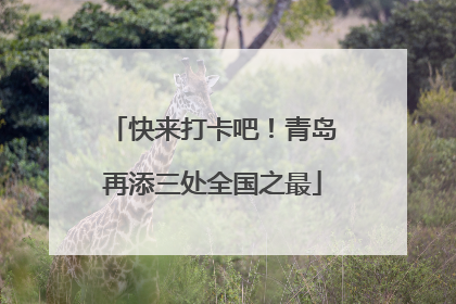 快来打卡吧！青岛再添三处全国之最