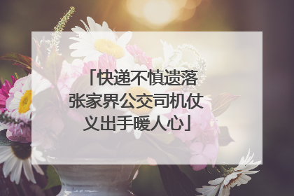 快递不慎遗落 张家界公交司机仗义出手暖人心