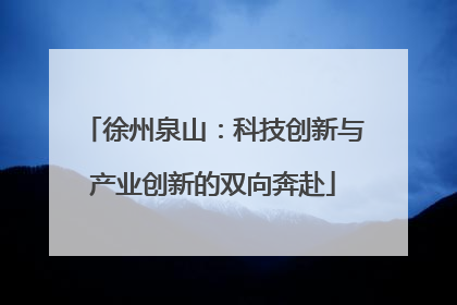 徐州泉山：科技创新与产业创新的双向奔赴