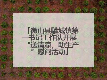 微山县驩城镇第一书记工作队开展“送清凉、助生产”慰问活动