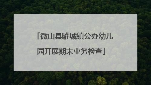 微山县驩城镇公办幼儿园开展期末业务检查