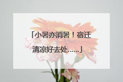 小暑亦消暑！宿迁清凉好去处……