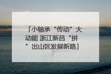 小轴承“传动”大动能 浙江新昌“拼”出山区发展新路