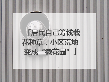 居民自己筹钱栽花种草，小区荒地变成“微花园”
