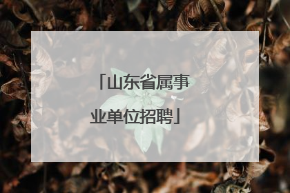 山东省属事业单位招聘