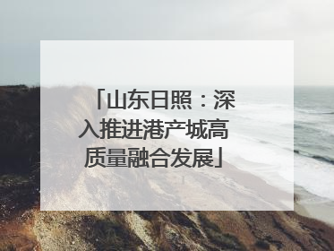 山东日照：深入推进港产城高质量融合发展