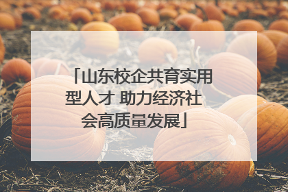 山东校企共育实用型人才 助力经济社会高质量发展