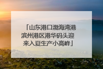 山东港口渤海湾港滨州港区港华码头迎来入夏生产小高峰